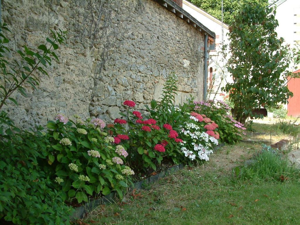 Bed and Breakfast Chateau Du Beugnon Tigné Exterior foto